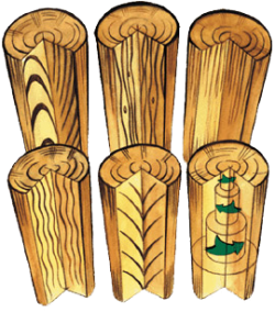 different wood grains in cartoon